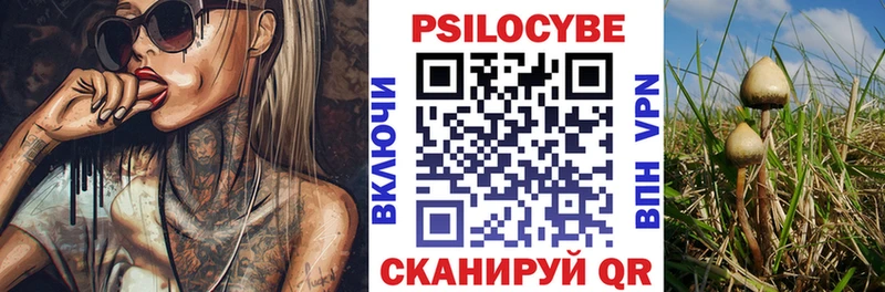 Галлюциногенные грибы MAGIC MUSHROOMS  Купить  Дятьково 